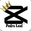 PEDRO LEAL ᶻ⁷-avatar