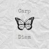 Carpe 🦋 Diem-avatar