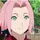 sakura haruno 🌸