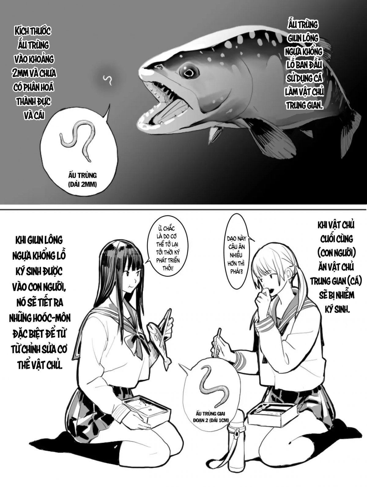 Đọc truyện hentai Vòng đời của giun lông ngựa khổng lồ - Oneshot