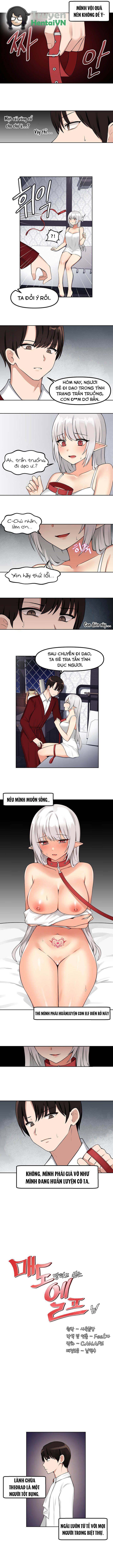 Đọc truyện hentai Ả Elf Thích Bị Sỉ Nhục - Chap 2