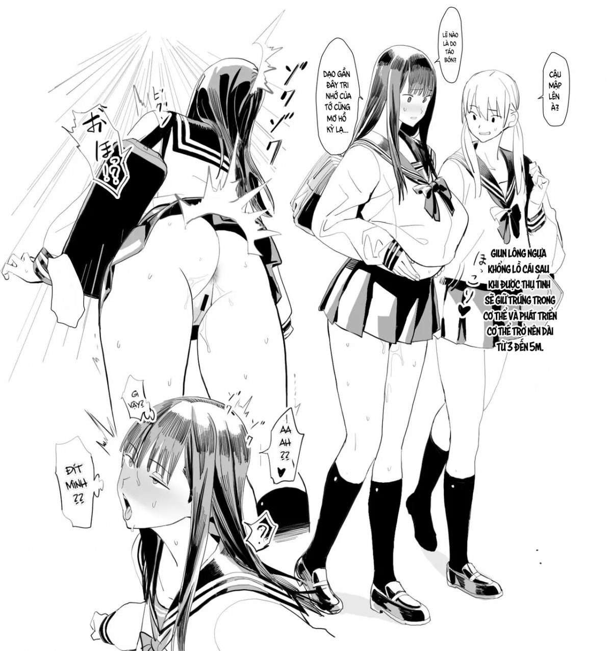 Đọc truyện hentai Vòng đời của giun lông ngựa khổng lồ - Oneshot