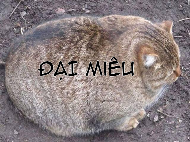 Đọc truyện hentai Chỉ còn những lời hứa nơi đó... - Oneshot