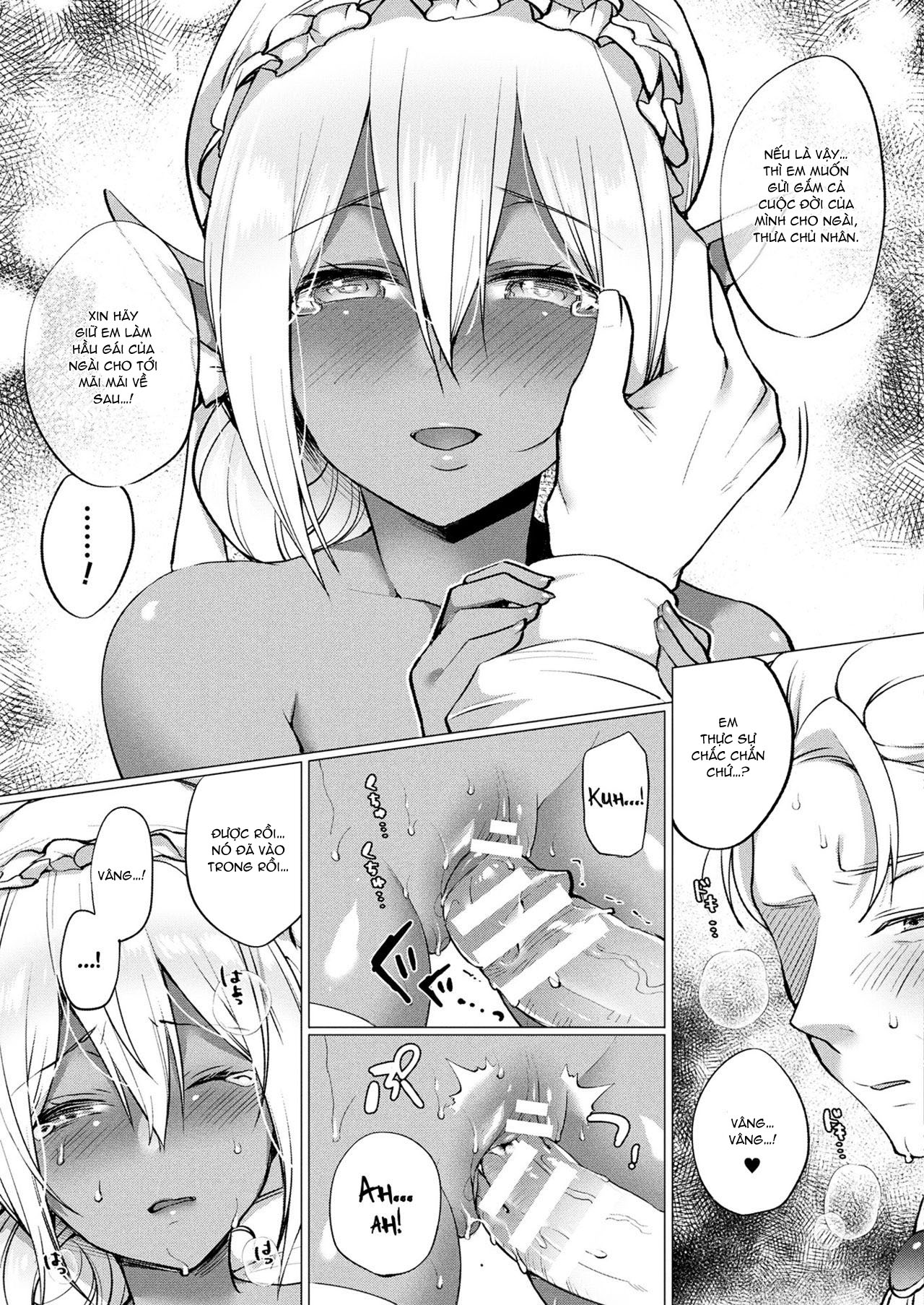 Đọc truyện hentai Chuyện tình của nàng Dark Elf - Oneshot