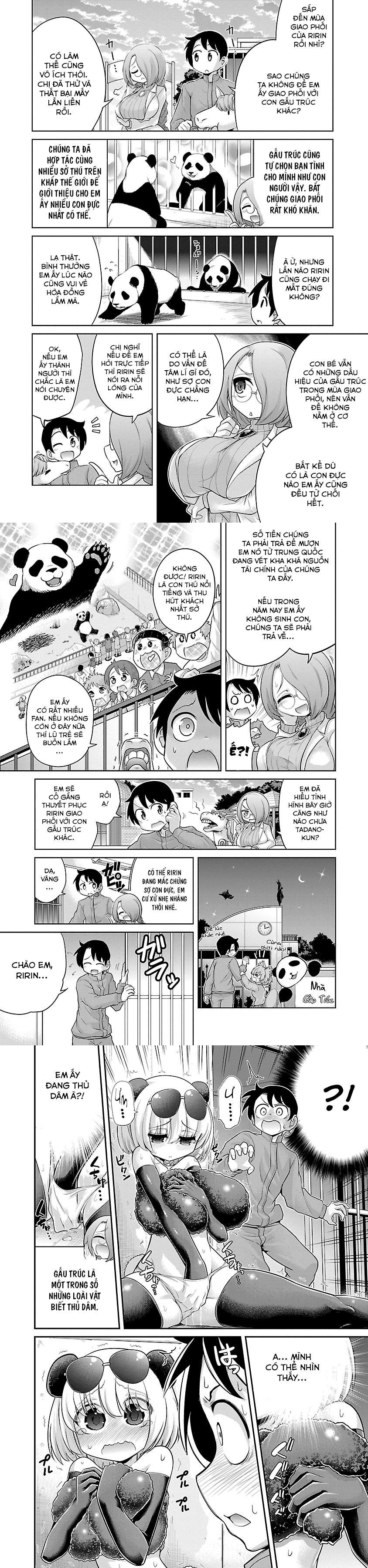Đọc truyện hentai Hentai Zoo - Chap 2. Gấu trúc