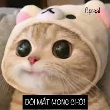 Đọc truyện hentai LAT - Chap 1: Khởi đầu của việc làm máy đẻ