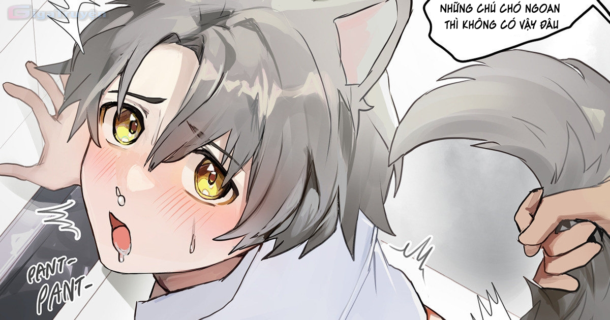 Đọc truyện hentai Huấn luyện người mới Chương 1