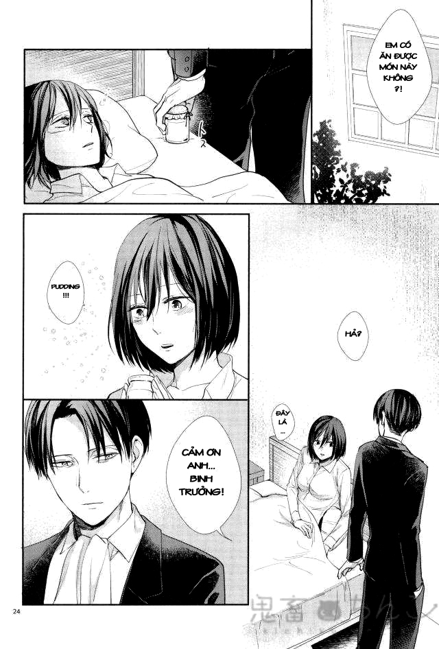 Đọc truyện hentai Ánh sáng phía bên kia (Shingeki no Kyojin) - Oneshot