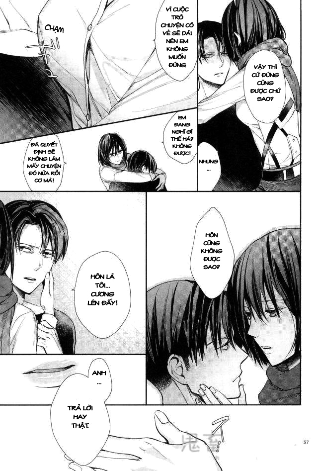 Đọc truyện hentai Ánh sáng phía bên kia (Shingeki no Kyojin) - Oneshot
