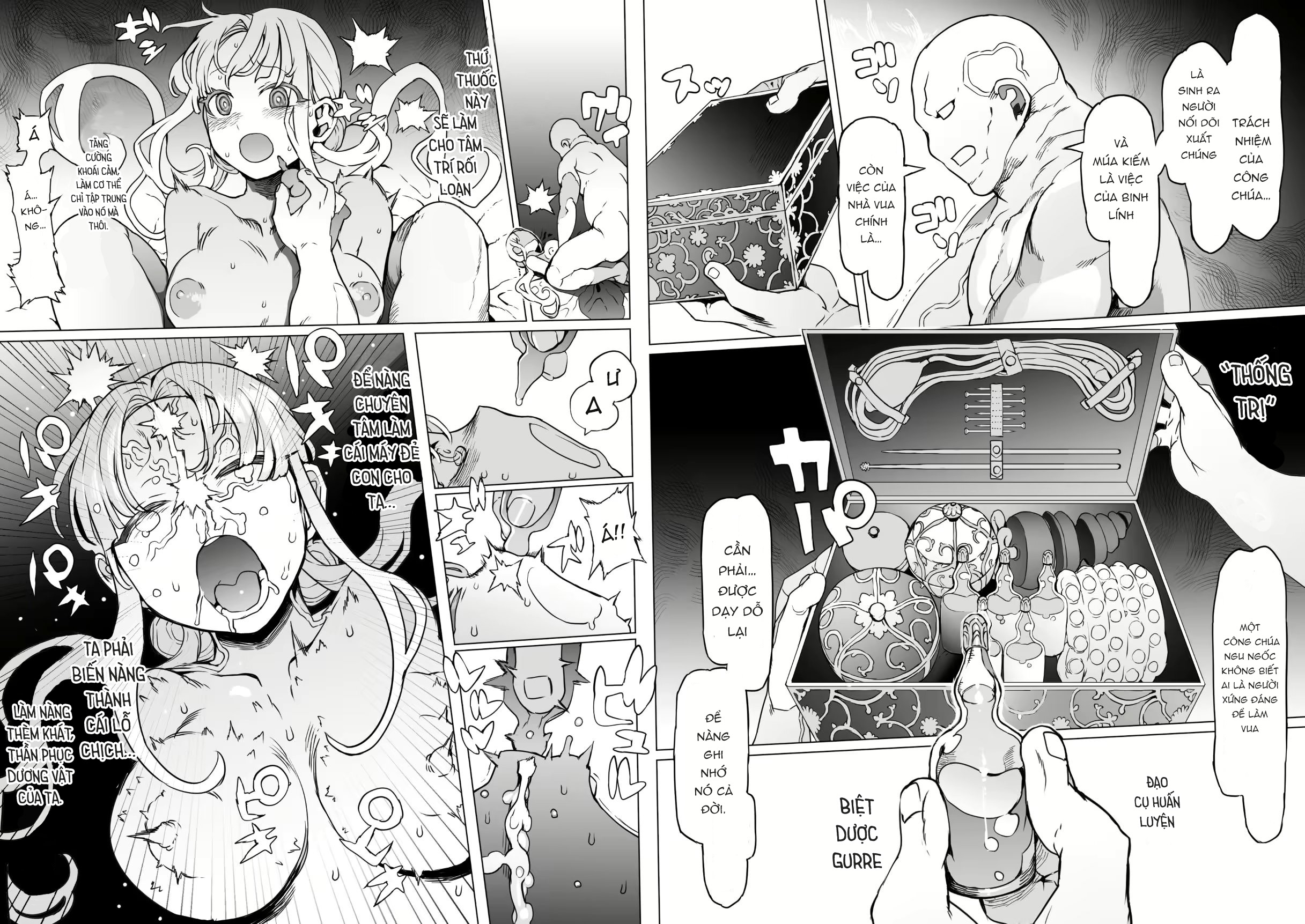 Đọc truyện hentai Người sẽ trở thành vua Kỷ lục huấn luyện công chúa vua - Chap 1