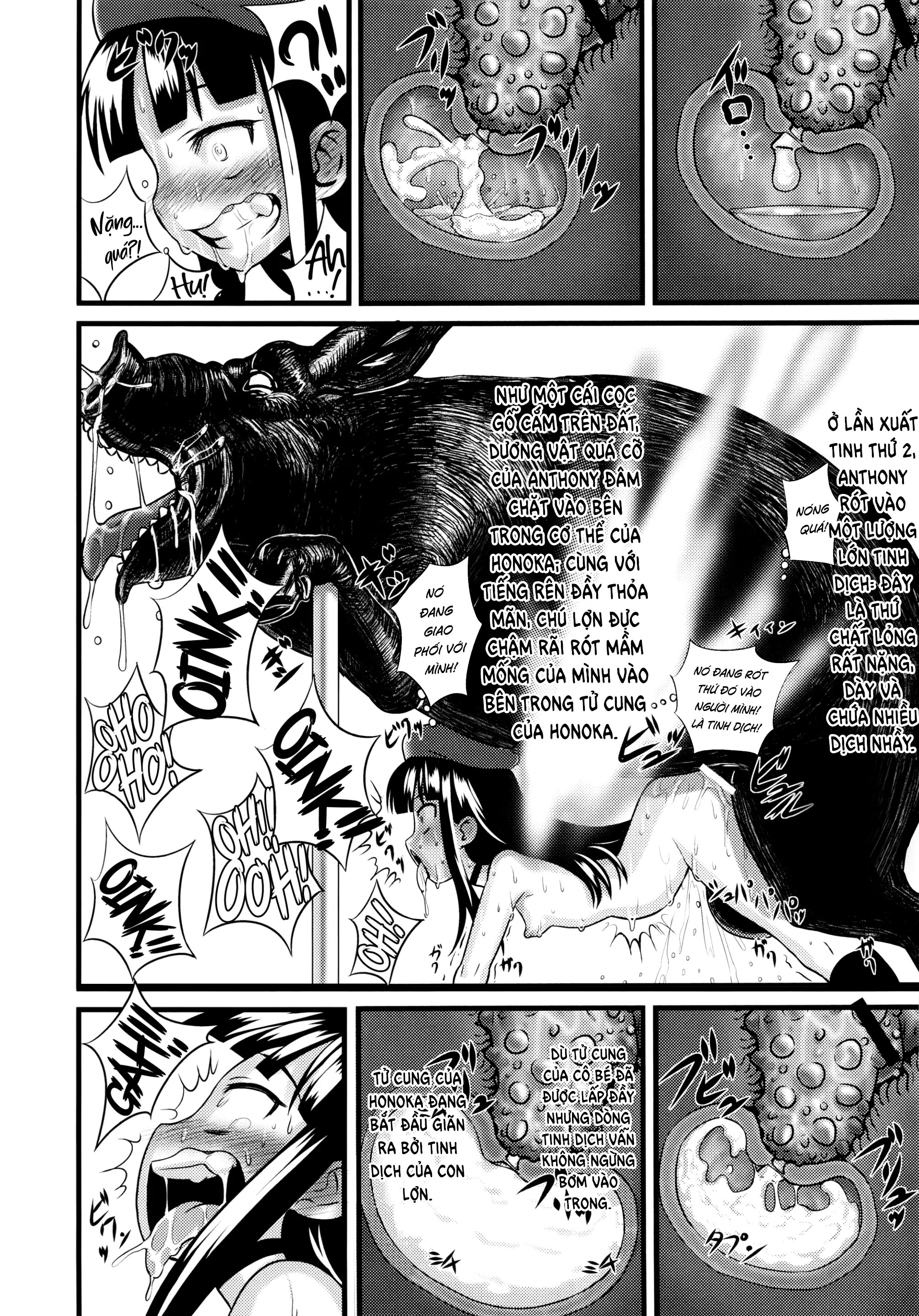 Đọc truyện hentai Công chúa khỏa thân Honoka: Thức tỉnh bằng cơn cực khoái khi giao phối với lợn! - Chap 2 End