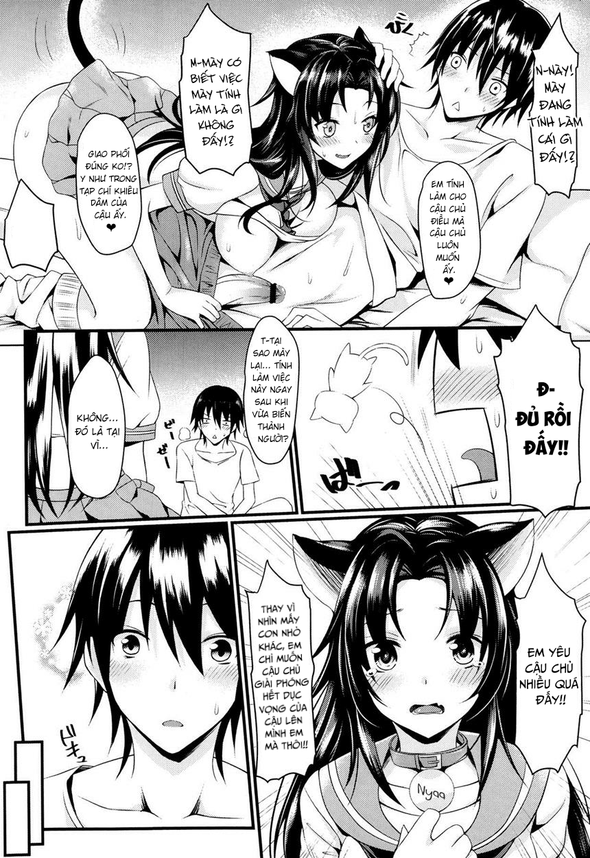 Đọc truyện hentai Câu chuyện về mèo và bạn - Oneshot
