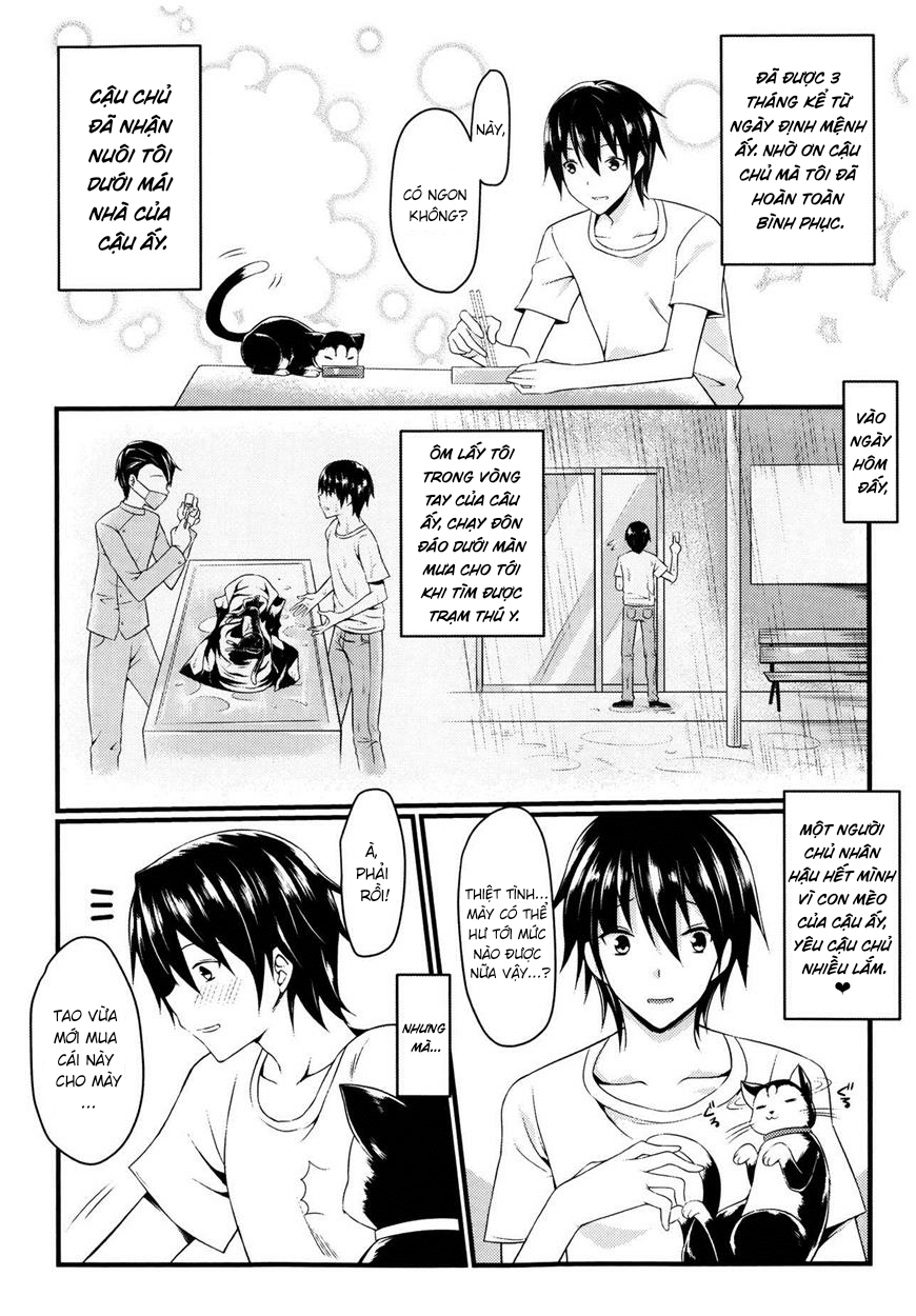Đọc truyện hentai Câu chuyện về mèo và bạn - Oneshot