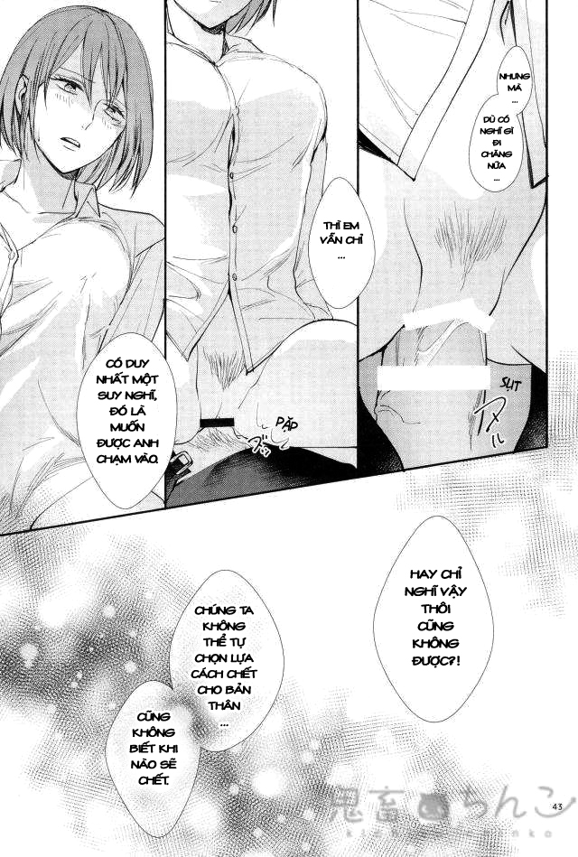 Đọc truyện hentai Ánh sáng phía bên kia (Shingeki no Kyojin) - Oneshot