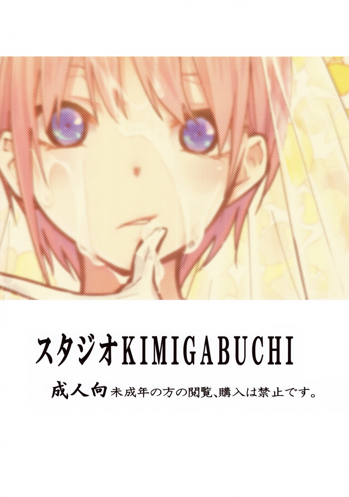 Đọc truyện hentai Gotoubun no Seidorei Side-D (Gotoubun no Hanayome) - Oneshot